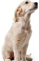 hhpoker俱乐部客服推荐