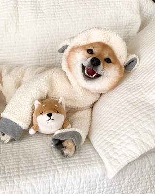 德扑圈人工客服微信