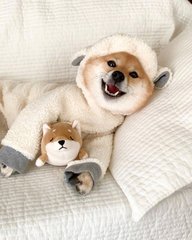 德扑圈俱乐部推荐